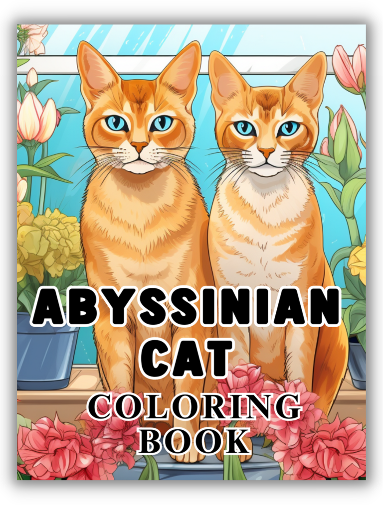 Abyssinian Cat Coloring Pages