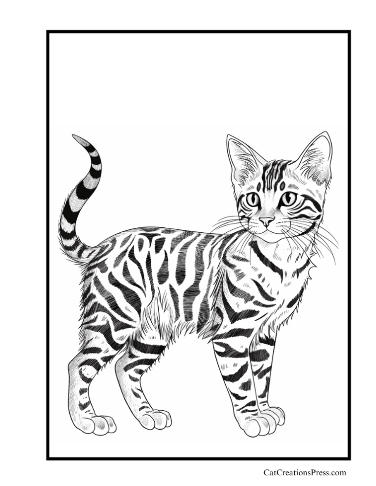 Bengal Cat Coloring Pages Cat Creations Press